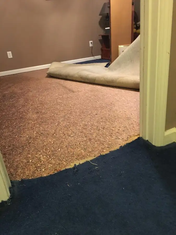 Carpet pad removal revealing water damage during Drying & Dehumidification in Whitewater