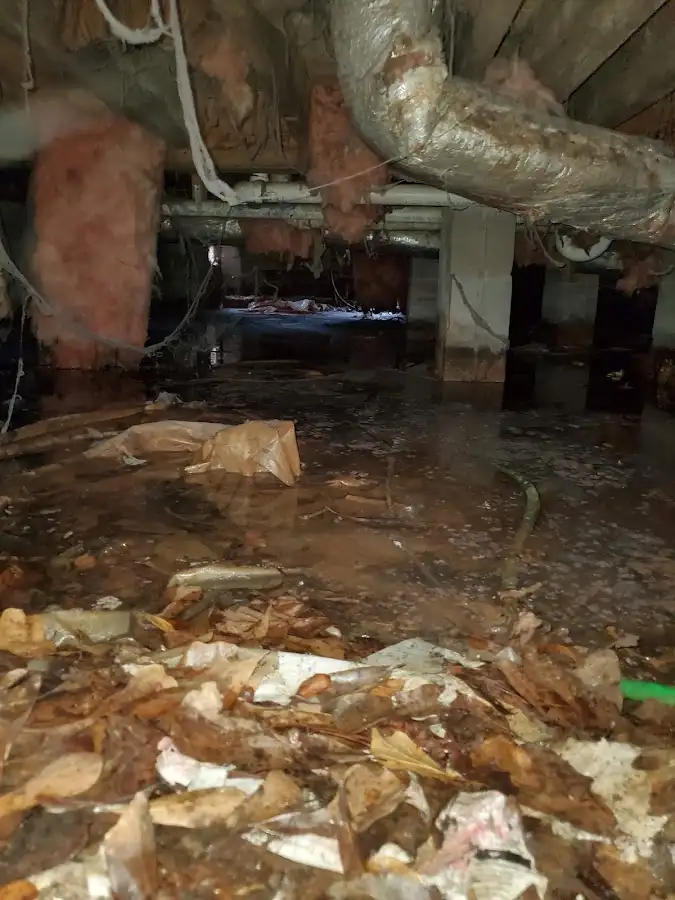 Crawl space flood assessment for Leak Detection & Repair in Whitewater